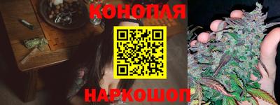 крисы Рязань