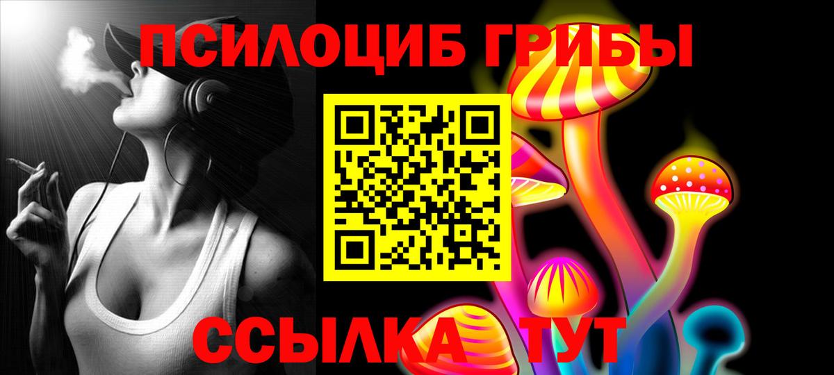 Псилоцибиновые грибы Psilocybe  Вход с VPN  Серов 