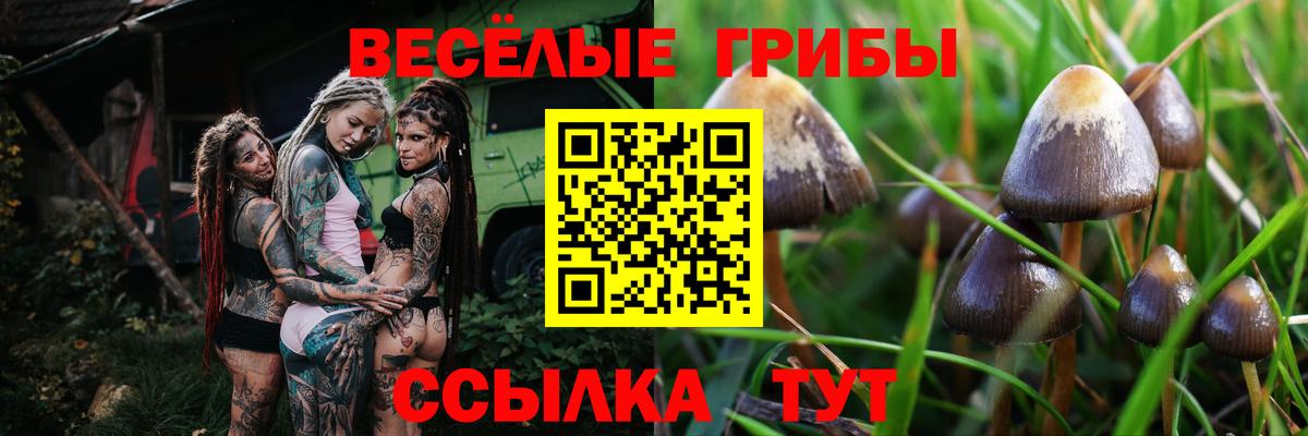 Псилоцибиновые грибы ЛСД Серов